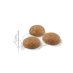 Royal Canin Active Life Outdoor pienso para gatos Discount