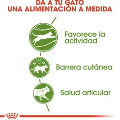 Royal Canin Active Life Outdoor pienso para gatos Discount