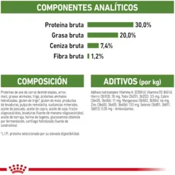 Royal Canin Active Life Outdoor pienso para gatos Discount