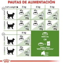 Royal Canin Active Life Outdoor pienso para gatos Discount