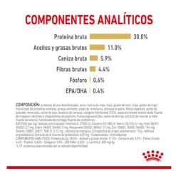 Royal Canin Adult 5+ Labrador pienso para perros Outlet