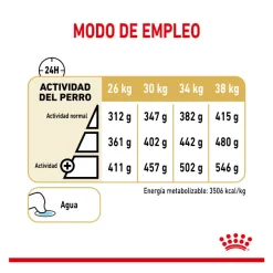 Royal Canin Adult 5+ Labrador pienso para perros Outlet