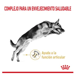 Royal Canin Adult 5+ Pastor Alemán pienso para perros Discount
