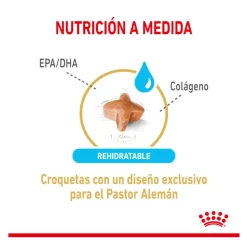 Royal Canin Adult 5+ Pastor Alemán pienso para perros Discount