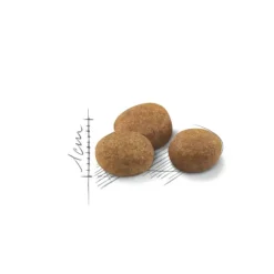 Royal Canin Adult 7+ Regular Sterilised pienso para gatos Sale