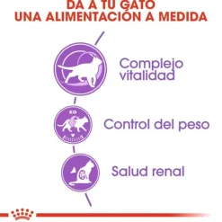 Royal Canin Adult 7+ Regular Sterilised pienso para gatos Sale