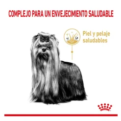 Royal Canin Adult 8+ Yorkshire pienso para perros Online