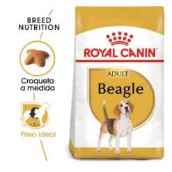 Royal Canin Adult Beagle pienso para perros Online