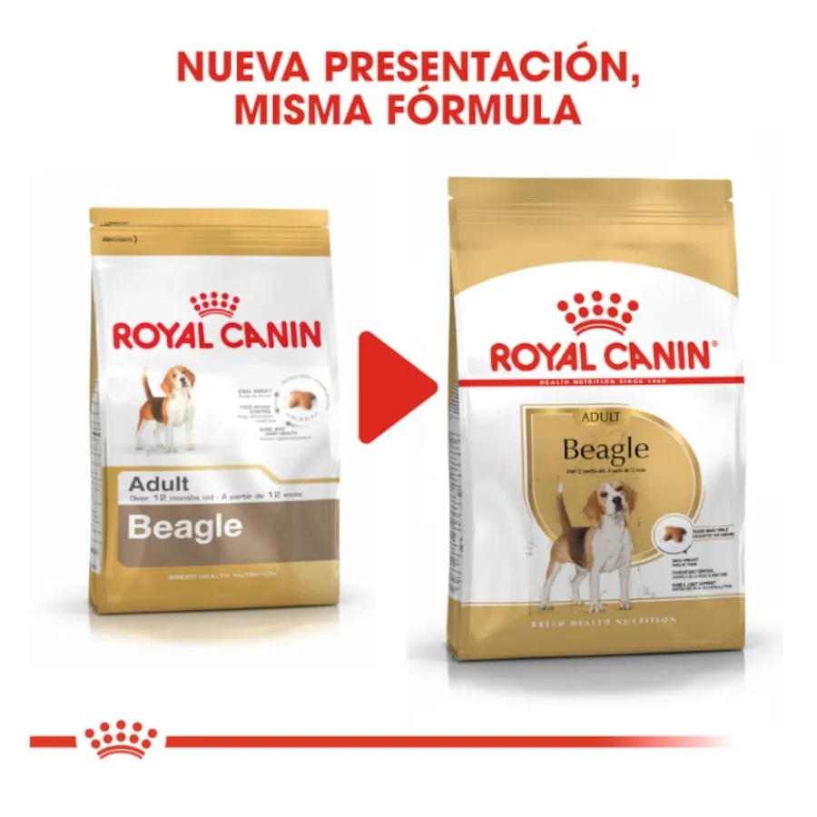 Royal Canin Adult Beagle pienso para perros Online