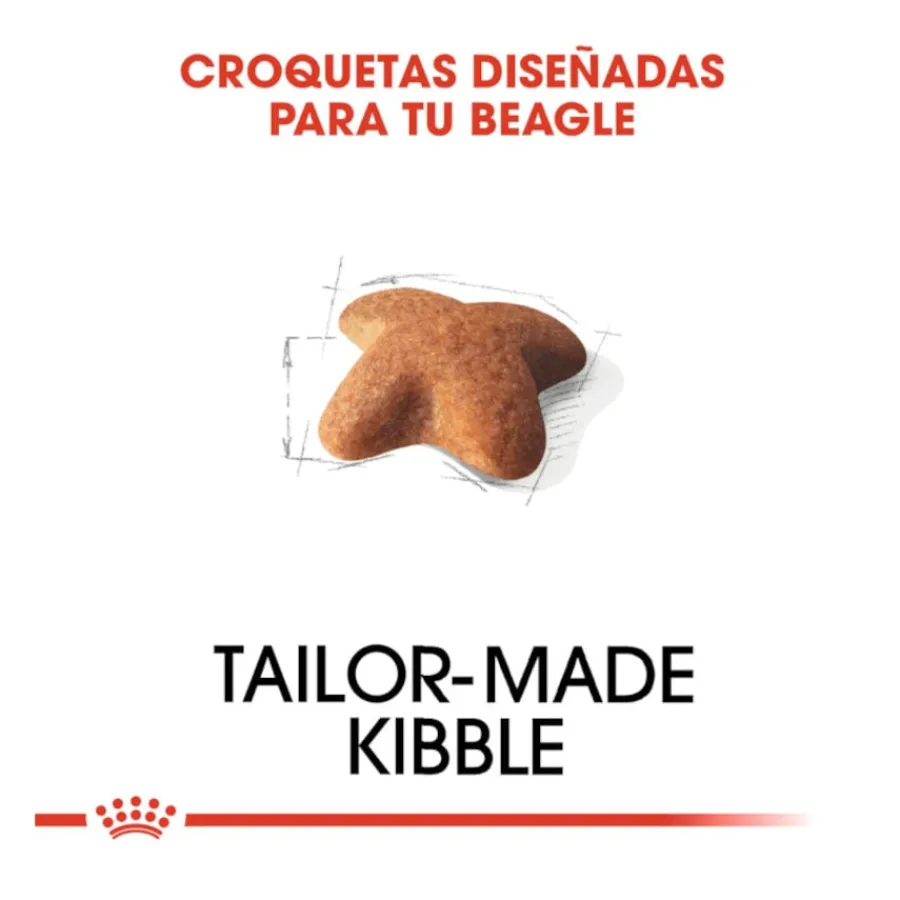 Royal Canin Adult Beagle pienso para perros Online