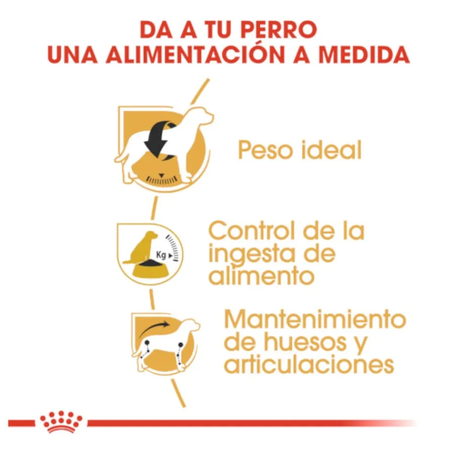 Royal Canin Adult Beagle pienso para perros Online