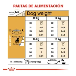 Royal Canin Adult Beagle pienso para perros Online
