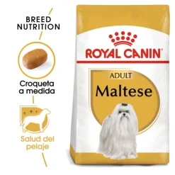 Royal Canin Adult Bichón Maltés pienso para perros Discount