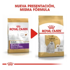 Royal Canin Adult Bichón Maltés pienso para perros Discount