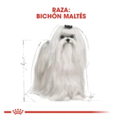 Royal Canin Adult Bichón Maltés pienso para perros Discount