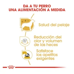 Royal Canin Adult Bichón Maltés pienso para perros Discount