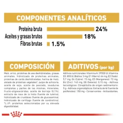 Royal Canin Adult Bichón Maltés pienso para perros Discount