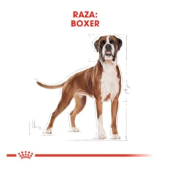 Royal Canin Adult Boxer pienso para perros New