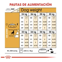 Royal Canin Adult Boxer pienso para perros New
