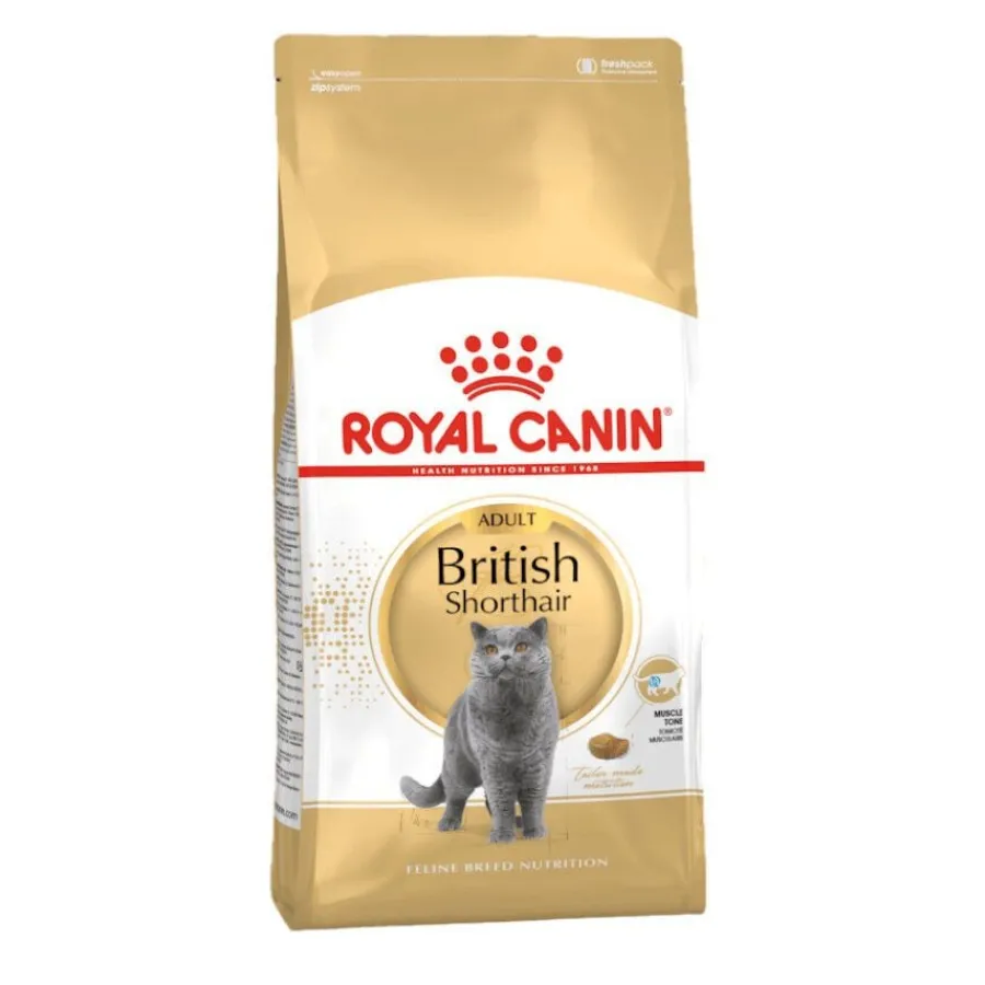 Royal Canin Adult British Shorthair pienso para gatos Discount