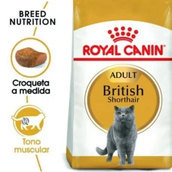 Royal Canin Adult British Shorthair pienso para gatos Discount