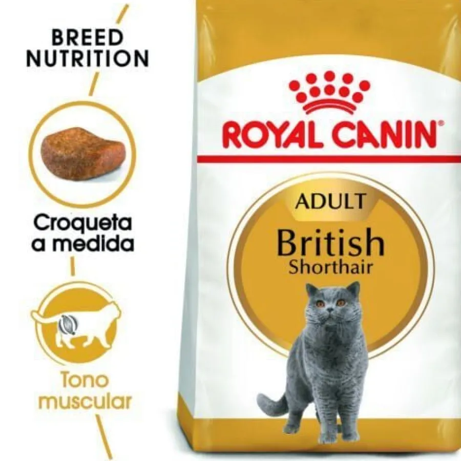 Royal Canin Adult British Shorthair pienso para gatos Discount