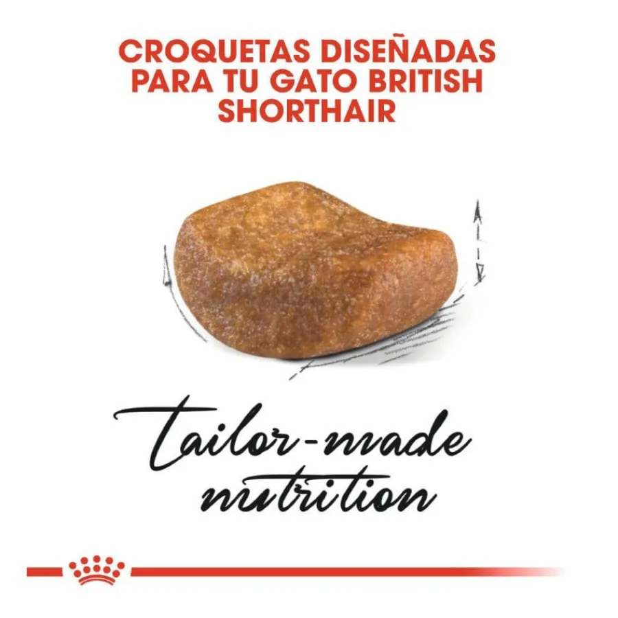 Royal Canin Adult British Shorthair pienso para gatos Discount