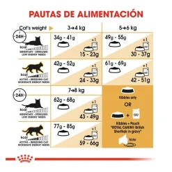 Royal Canin Adult British Shorthair pienso para gatos Discount