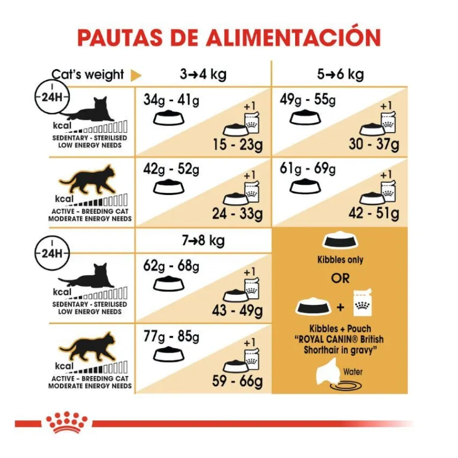 Royal Canin Adult British Shorthair pienso para gatos Discount