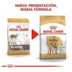 Royal Canin Adult Bulldog pienso para perros