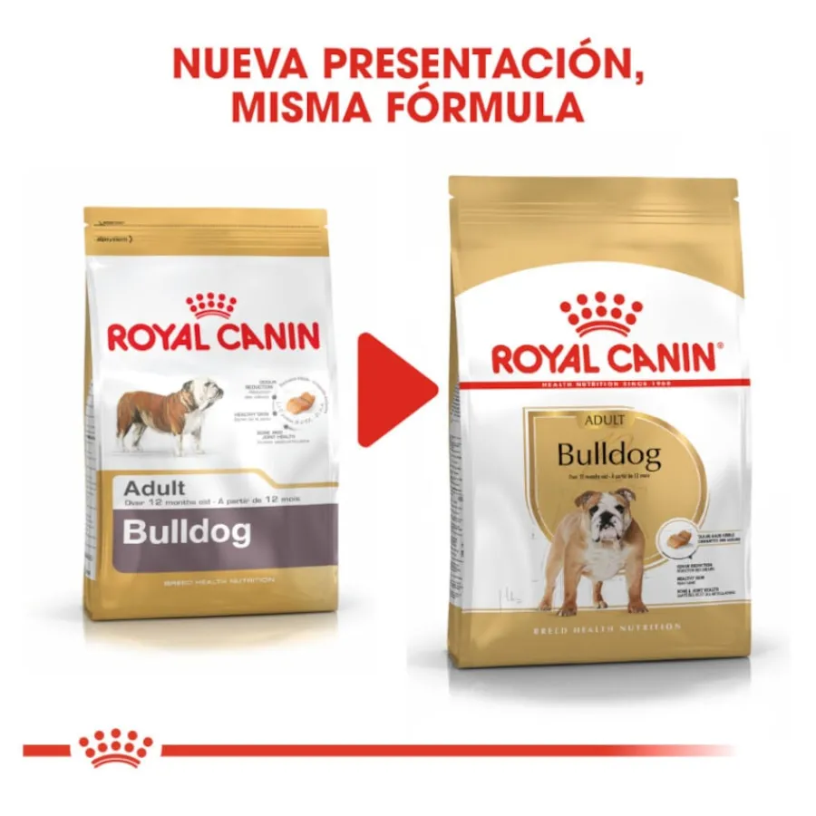 Royal Canin Adult Bulldog pienso para perros