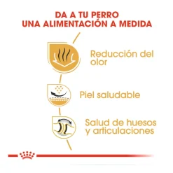 Royal Canin Adult Bulldog pienso para perros