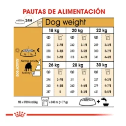 Royal Canin Adult Bulldog pienso para perros