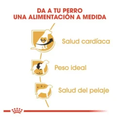 Royal Canin Adult Cavalier King Charles pienso para perros Best