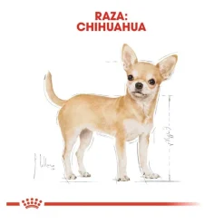 Royal Canin Adult Chihuahua paté en sobre para perros