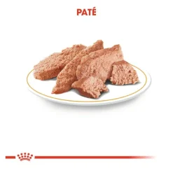 Royal Canin Adult Chihuahua paté en sobre para perros