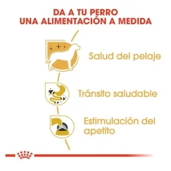 Royal Canin Adult Chihuahua paté en sobre para perros
