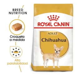 Royal Canin Adult Chihuahua pienso para perros Outlet