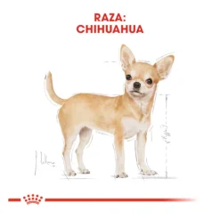 Royal Canin Adult Chihuahua pienso para perros Outlet