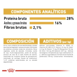 Royal Canin Adult Chihuahua pienso para perros Outlet