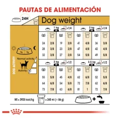 Royal Canin Adult Chihuahua pienso para perros Outlet