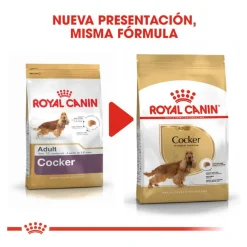 Royal Canin Adult Cocker pienso para perros New