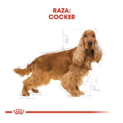 Royal Canin Adult Cocker pienso para perros New