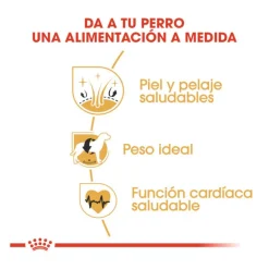 Royal Canin Adult Cocker pienso para perros New