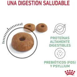 Royal Canin Adult Digestive pienso para gatos Sale