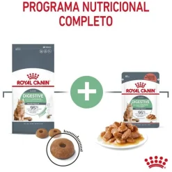 Royal Canin Adult Digestive pienso para gatos Sale