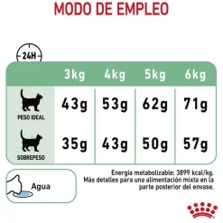 Royal Canin Adult Digestive pienso para gatos Sale