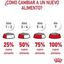 Royal Canin Adult Digestive pienso para gatos Sale