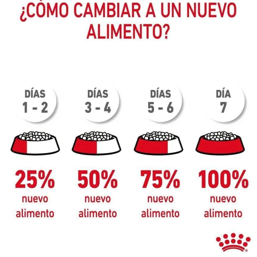 Royal Canin Adult Digestive pienso para gatos Sale