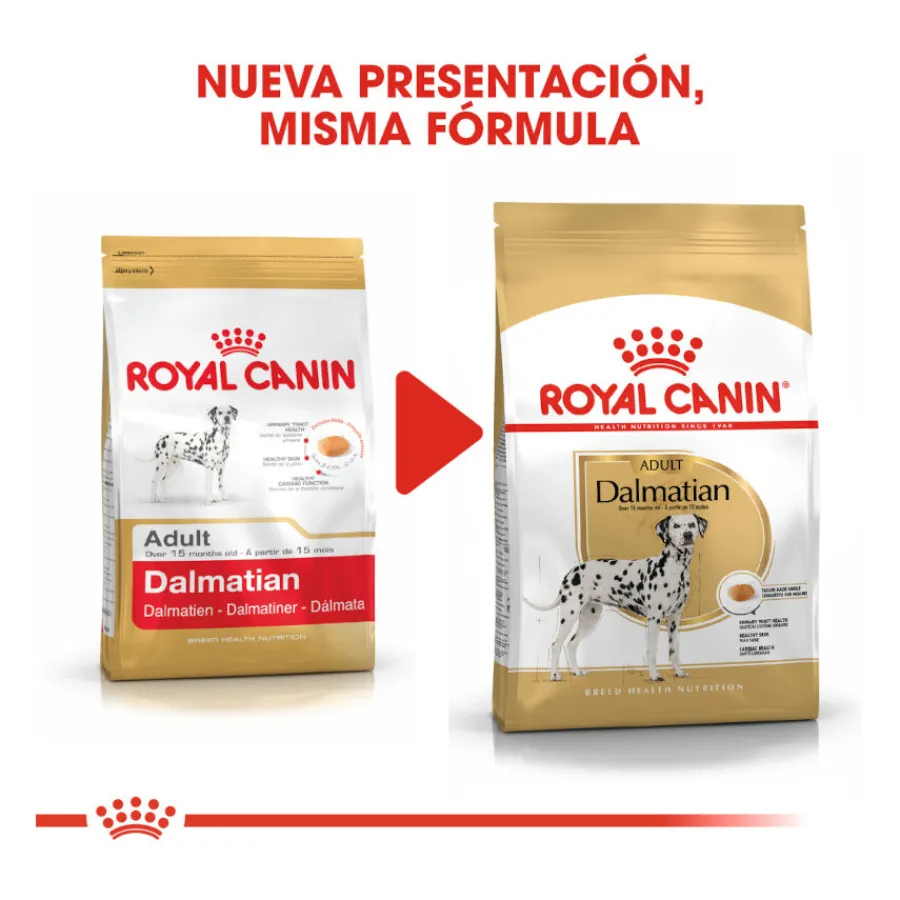 Royal Canin Adult Dálmata pienso para perros